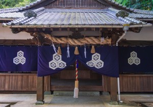 SBJ08110