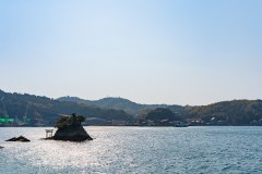 DSC02361