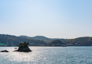 DSC02361