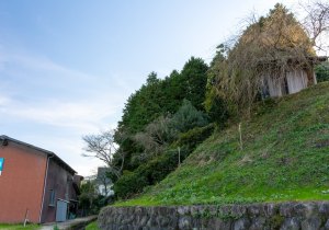DSC03935