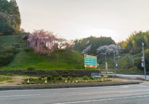 SBJ05189