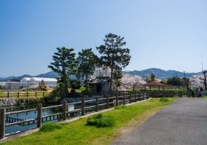 SBJ07234