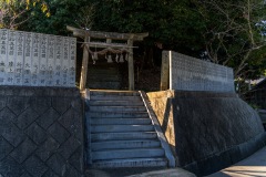 DSC00684