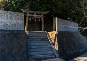 DSC00684