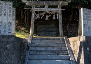 DSC00685