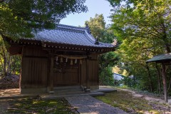 DSC00693