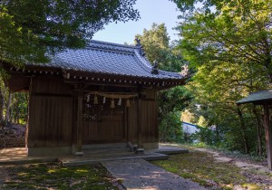 DSC00693