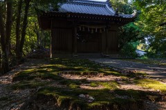DSC00699