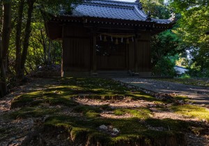 DSC00699