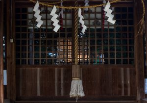 DSC00498