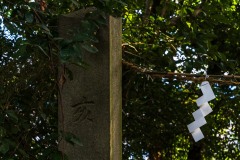 DSC00502