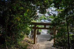 DSC00504