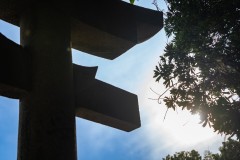 DSC00505