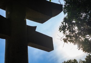 DSC00505