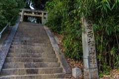 DSC00507