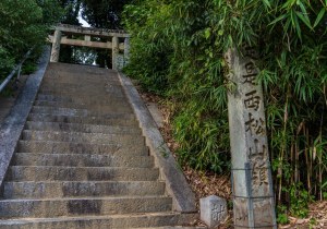 DSC00507
