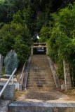 DSC00509