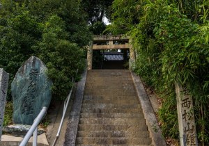 DSC00509