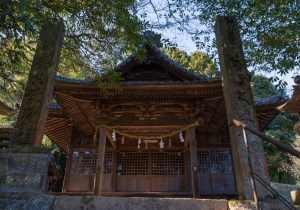 SBJ05162