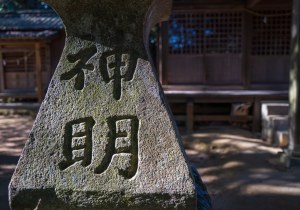 SBJ05165