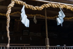 1_DSC04199