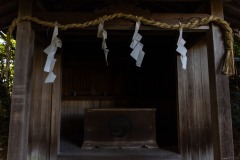 DSC07252