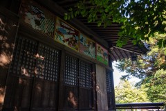 DSC07254