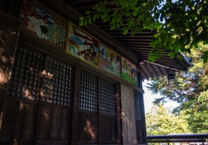 DSC07254