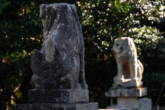 DSC07274