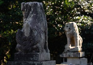 DSC07274