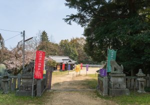 SBJ04556