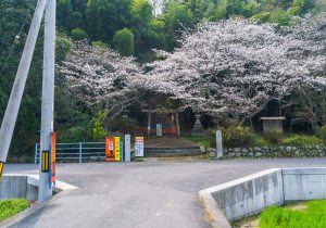 SBJ04612