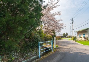 SBJ04616