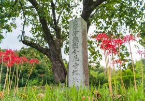 SBJ05997