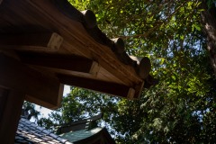 DSC08070