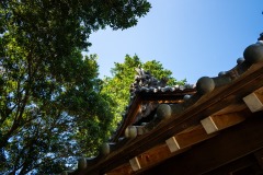 DSC08074