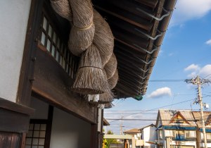 DSC05444