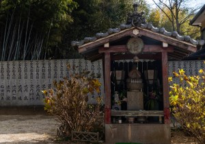 DSC06928