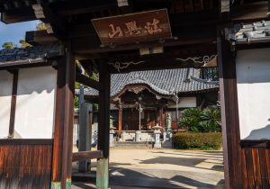 DSC06935