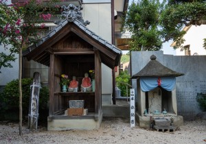 DSC08214