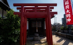 DSC01004