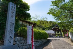 DSC05325