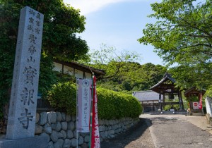 DSC05325