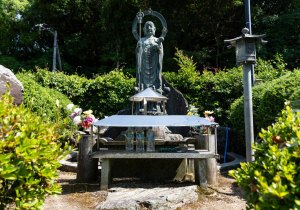 DSC05336