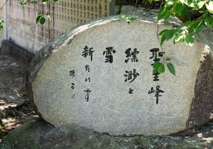 DSC05374
