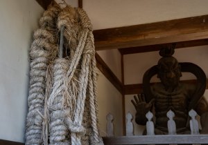 DSC05391