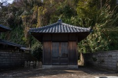 DSC07151