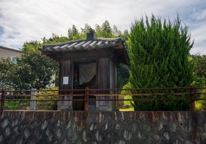 SBJ05264