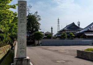 DSC05768