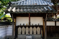 DSC05770